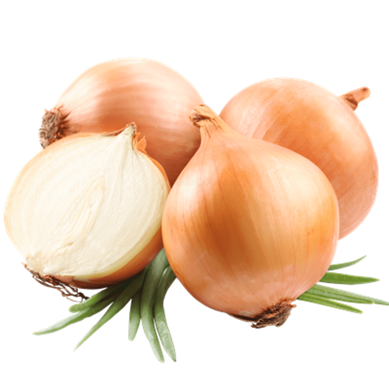 Cebolla Cabezona Blanca x Lb
