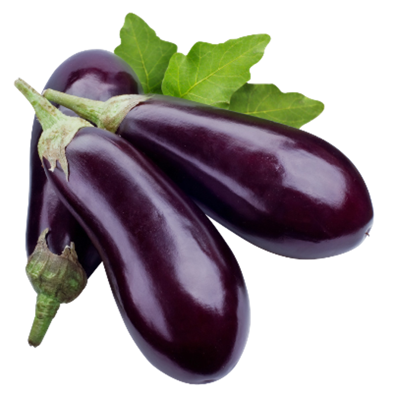 Berenjena x Lb