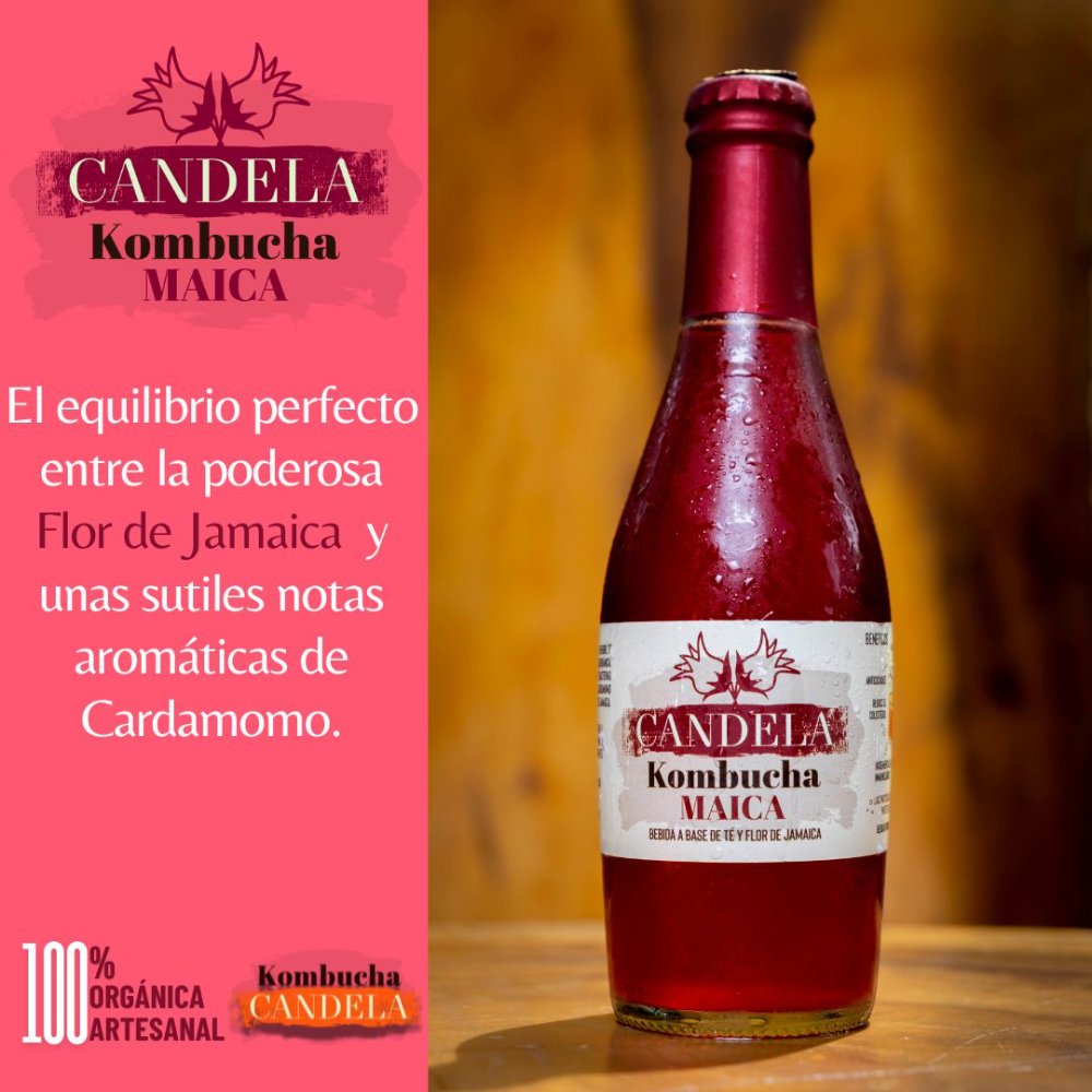 Kombucha Maica x 300 mL