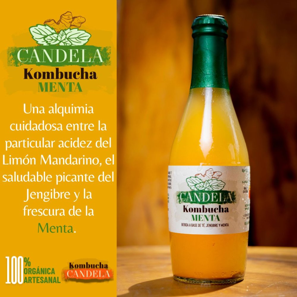 Kombucha Menta x 750 mL
