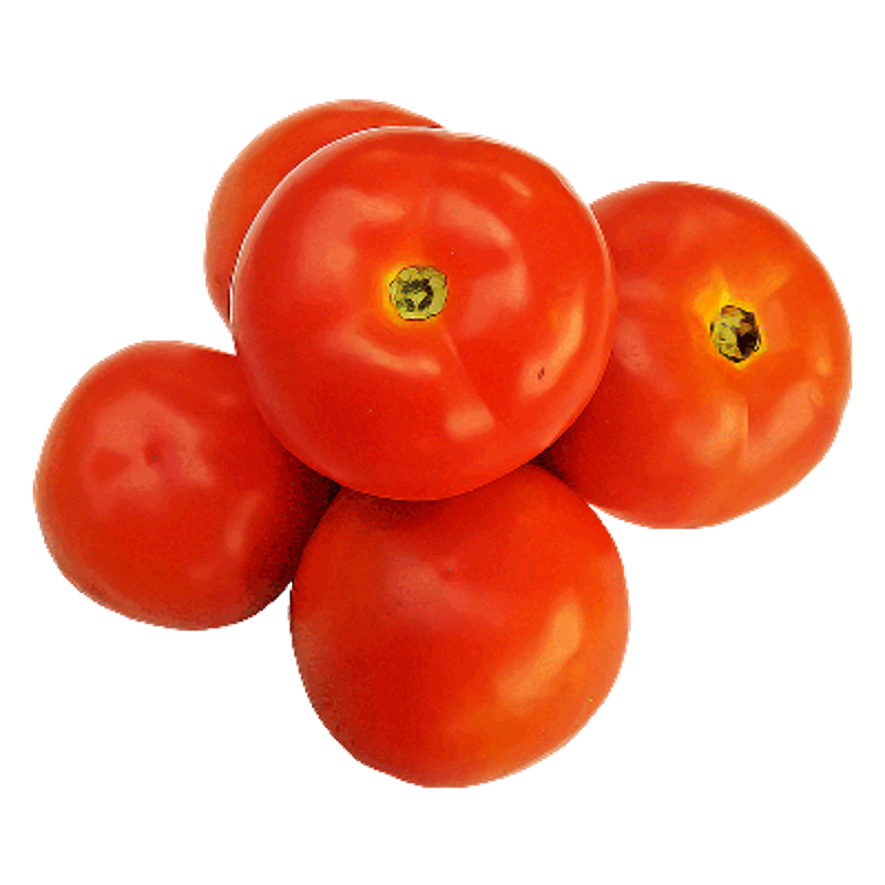 Tomate Chonto x Lb
