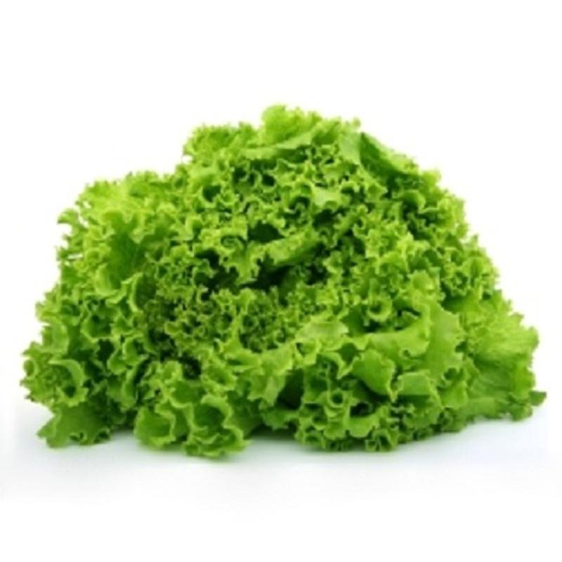 Lechuga Crespa Verde x 250 g