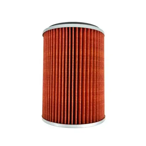 FILTRO AIRE D21  16546-04N00