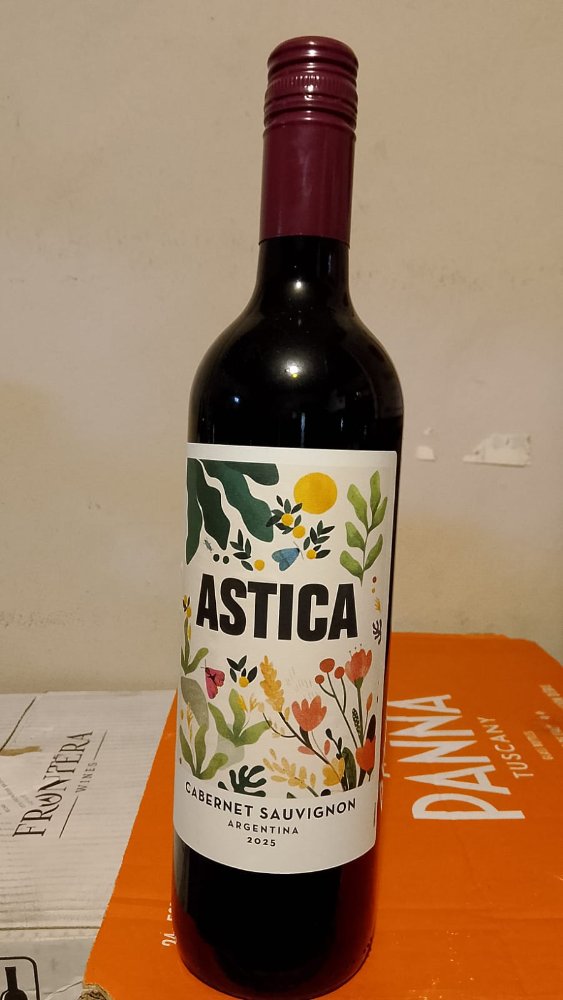 B4 TINTO ASTICA