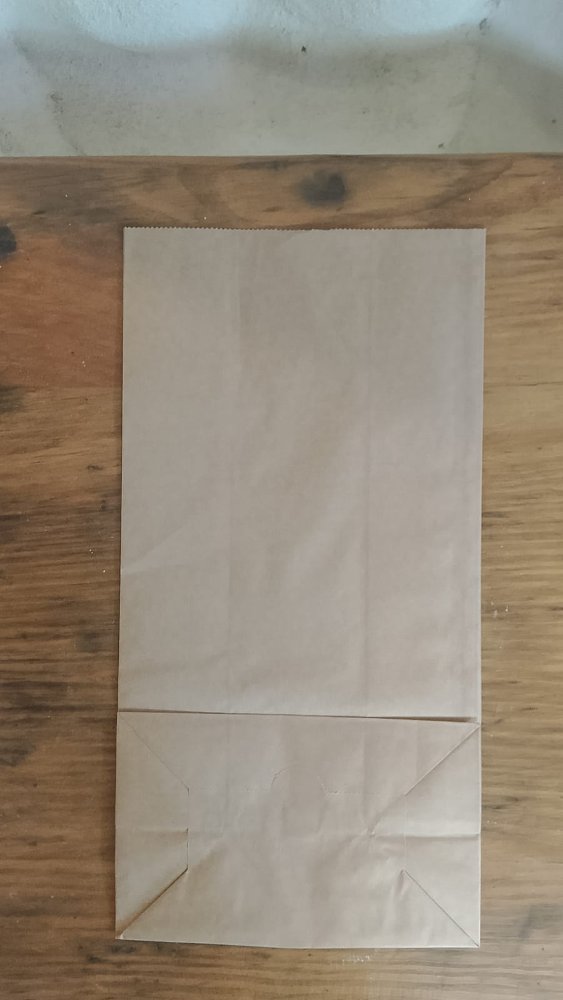 DESECHABLE FUNDA MEDIANA CARTON