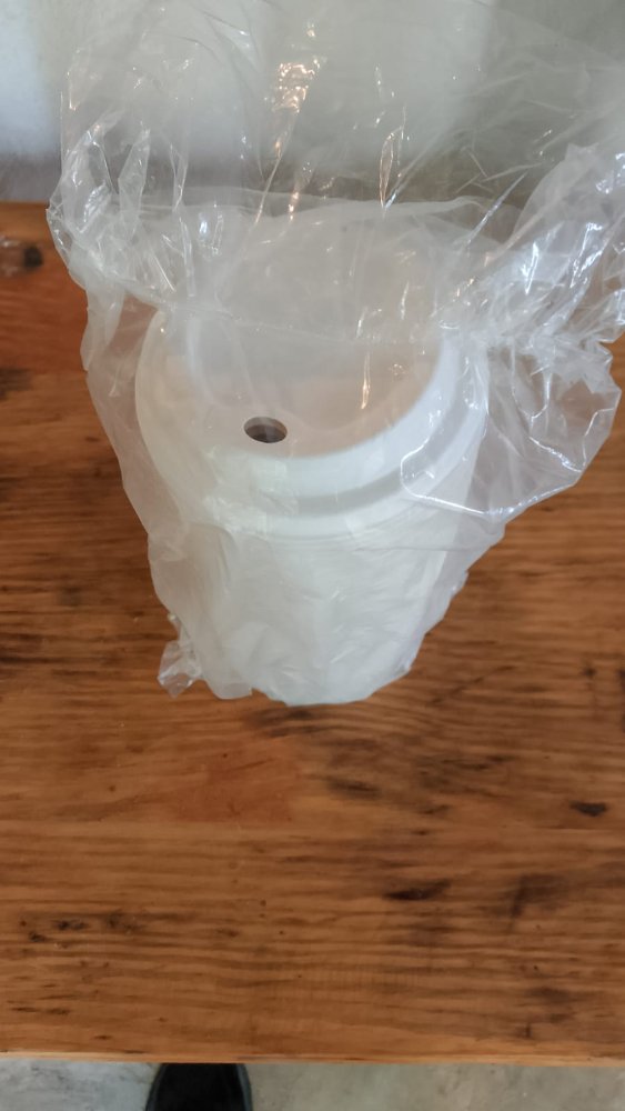DESECHABLE TAPA GRANDE CARTON