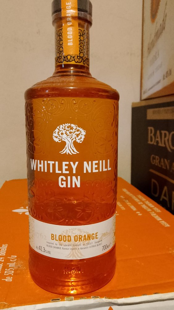 B2 GINEBRA WHITLEY NEILL ORANGE