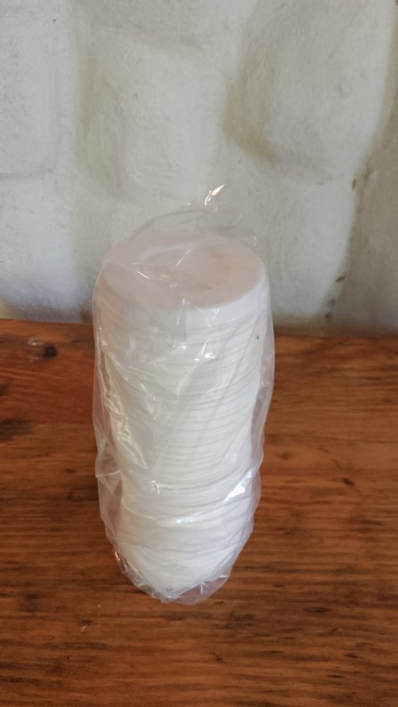 DESECHABLE TAPA MEDIANA CARTON