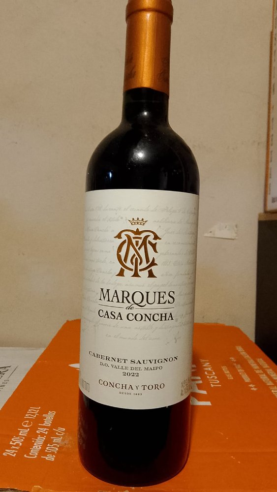 B4 TINTO MARQUES CONCHA