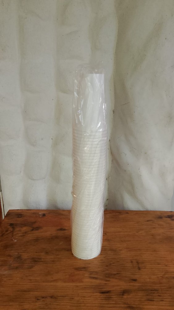 DESECHABLE VASO DE CARTON 16 OZ