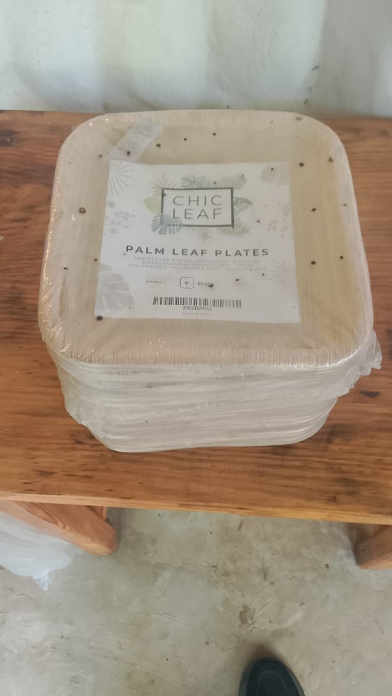 DESECHABLE PLATO DE YAGUA