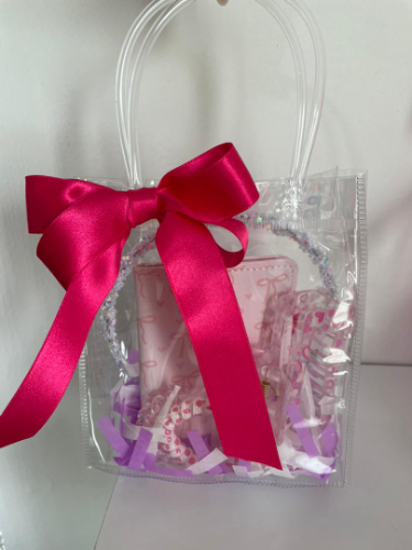 Regalo: Monedero, pinza grande, colitas de espiral, boligrafo, cintillo