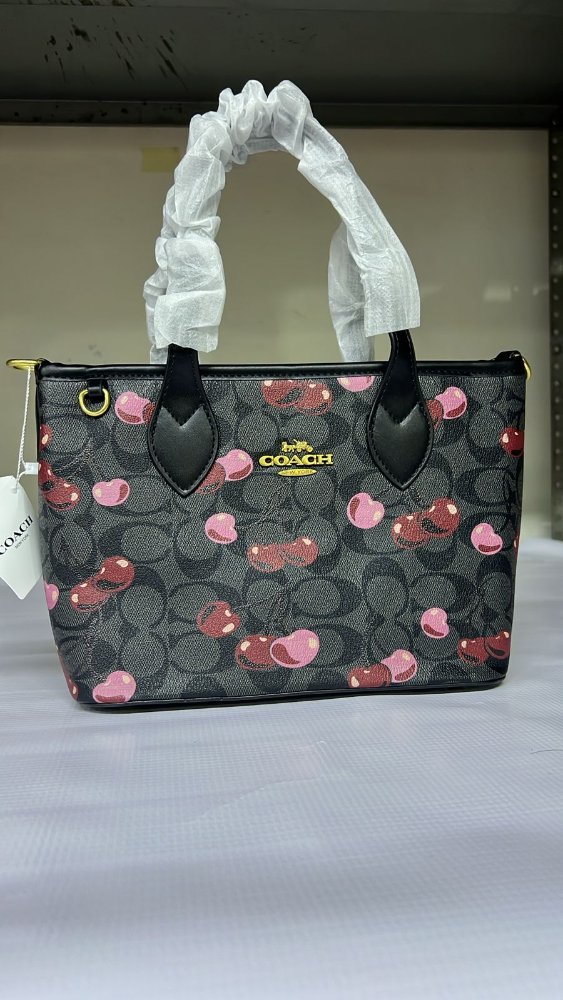 BOLSA COACH LCC 243