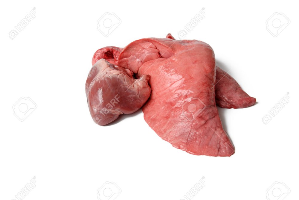 MENUDO DE CERDO