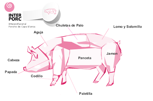 CARNE DE CERDO FRESCO