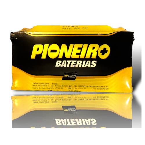 Bateria Pioneiro 100AH