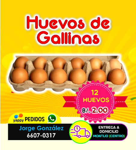 PACK DE 12 HUEVOS DE GALLINA