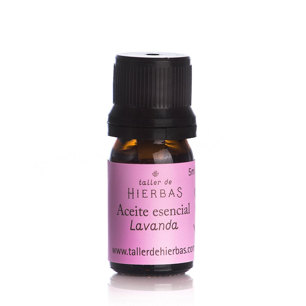 AE LAVANDA TH