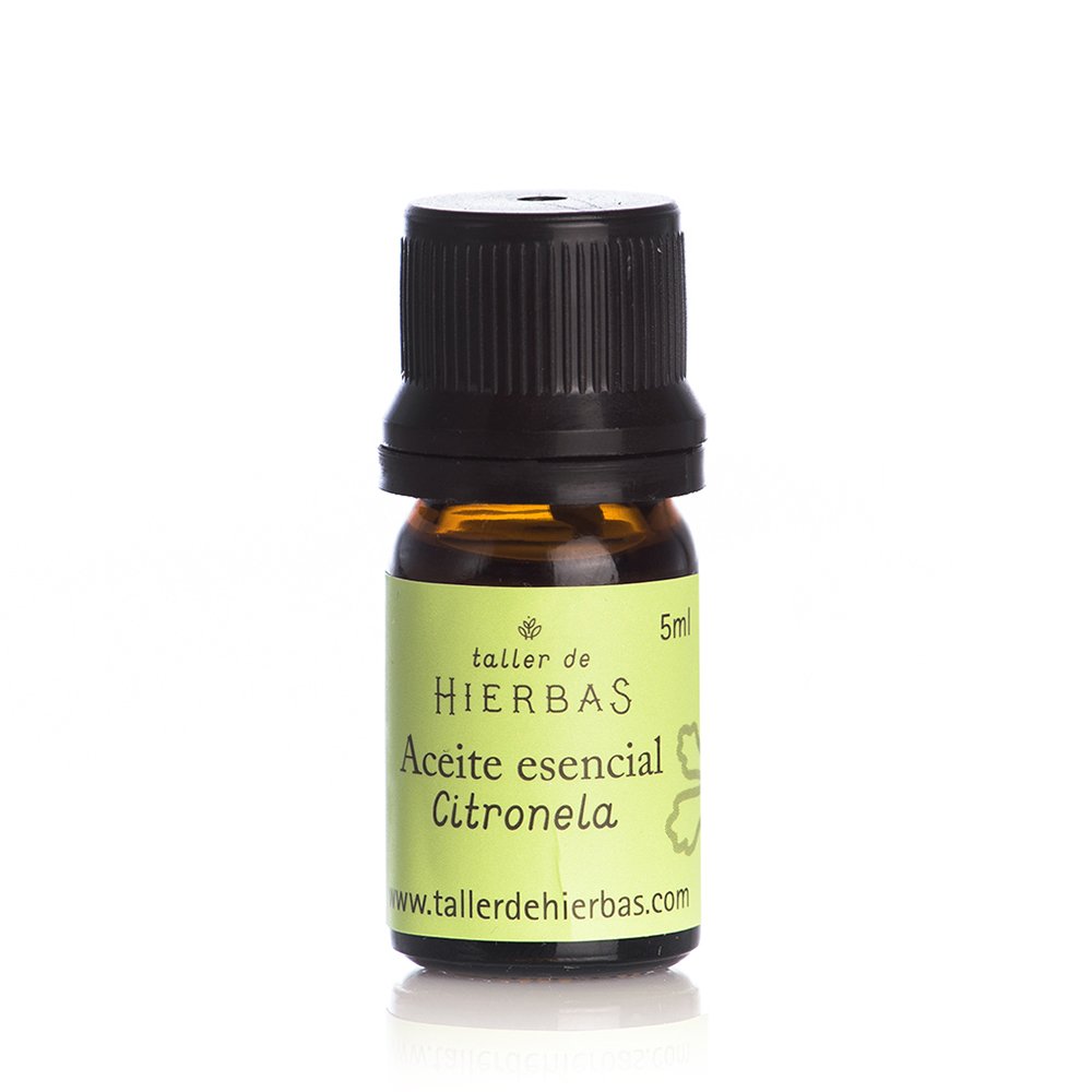 AE CITRONELA TH