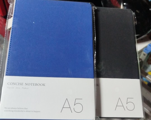 AGENDA PERMANENTE A5 W253