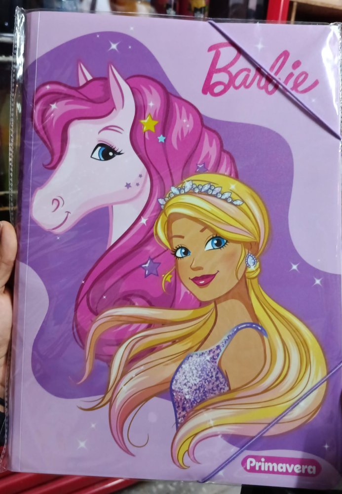 CARPETA DE SEGURIDAD SERIADA NIÑA- ABIERTA