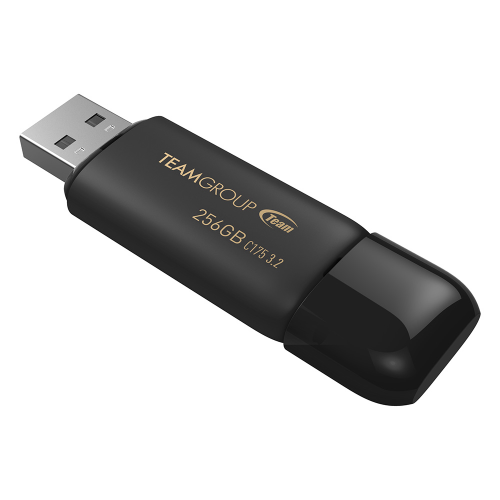 PenDriver 256Gb (TeamGroup)