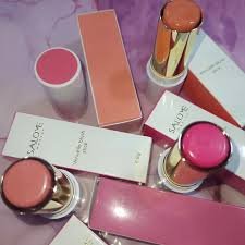 BLUSH EN BARRA SALOME