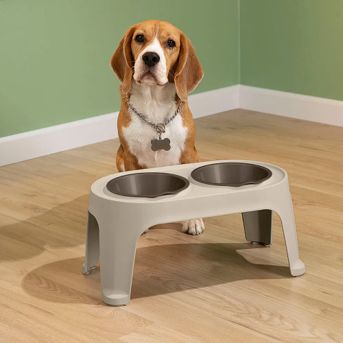 Comedero alto para perro