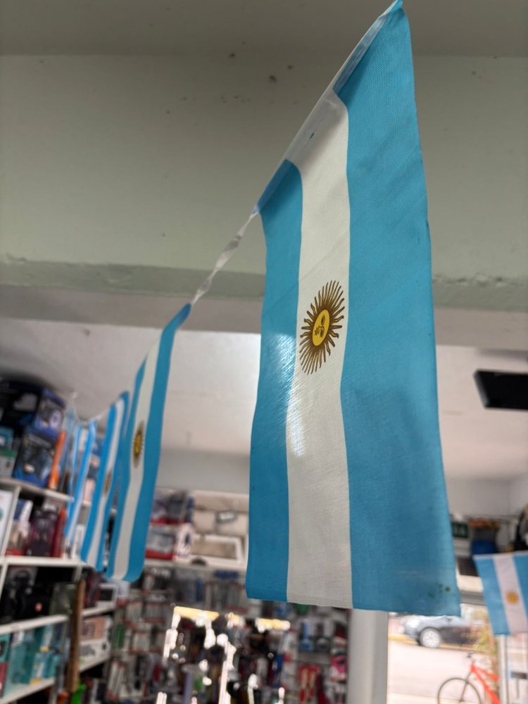 Banderines Argentina 4m 20 cm x 28 cm