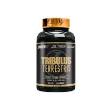 TRIBULUS LANDER