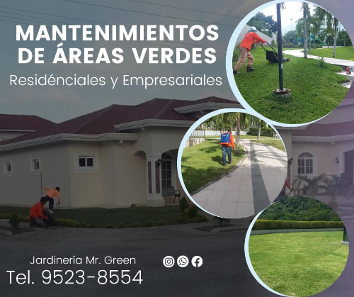 Mantenimiento