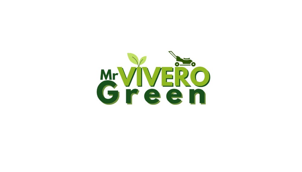 Vivero Mr Green