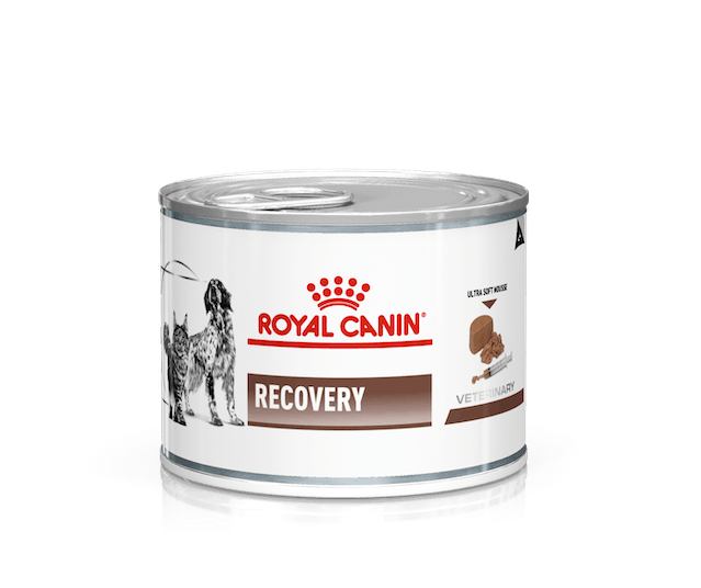 Lata Recovery Royal Canin 145 g