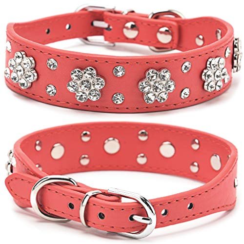 Collar para Perritas Grande