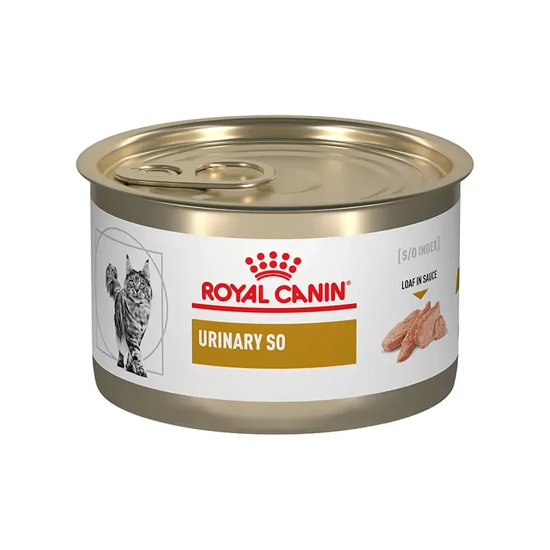 Lata Urinary SO gato Royal Canin 145 g