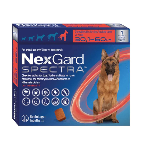 Nexgard Spectra 30.1 - 60 Kg 1 Comprimido