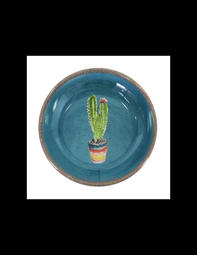 Hey! Plato de Captus