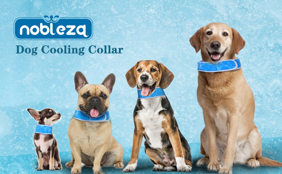 Collar Cool Dog nobleza Talla S