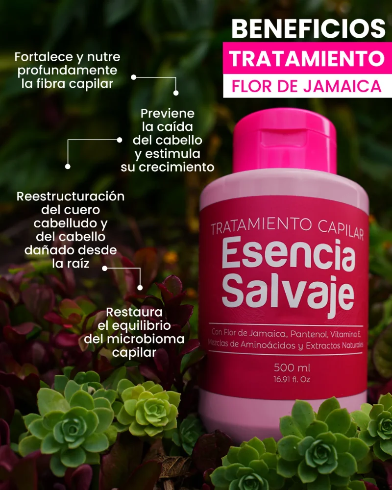 TRATAMIENTO CON FLOR DE JAMAICA ESENCIA SALVAJE