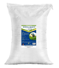 Mineral selecto 20kg