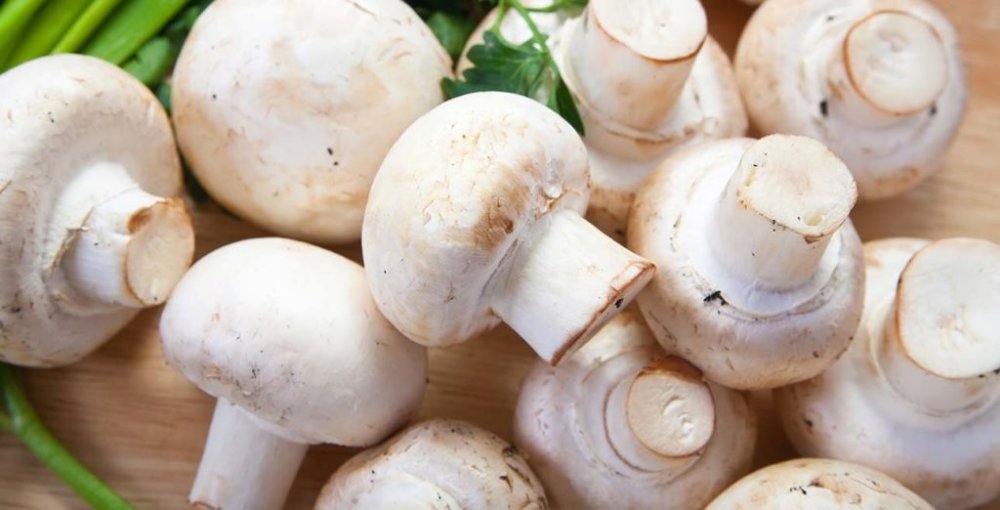CHAMPIÑON BLANCO ENTERO 500 g