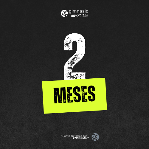 2 meses