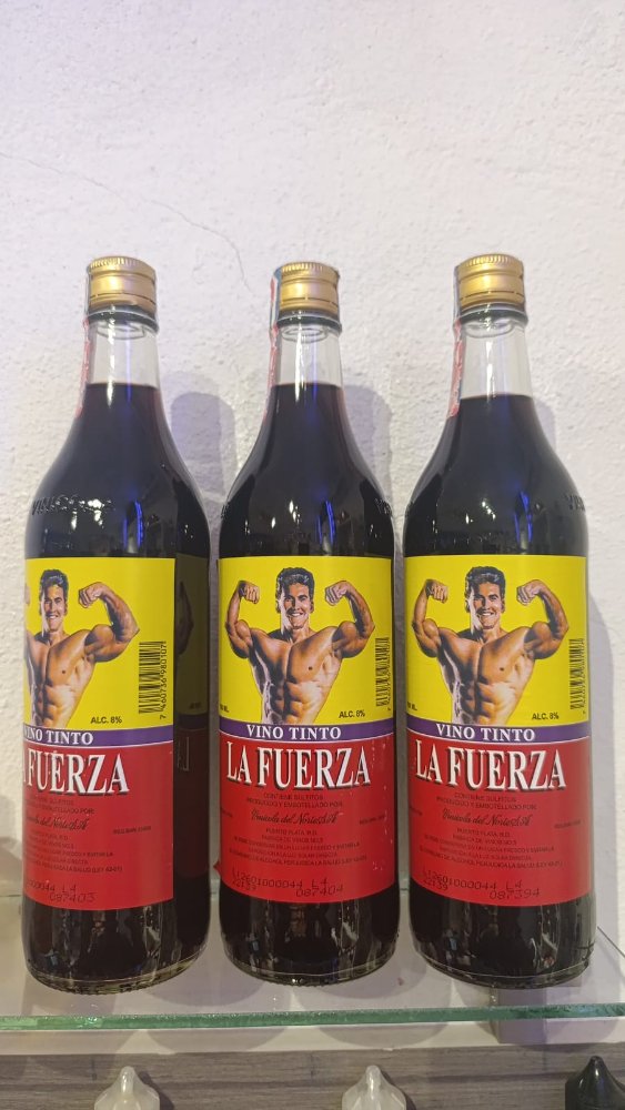vino la fuerza