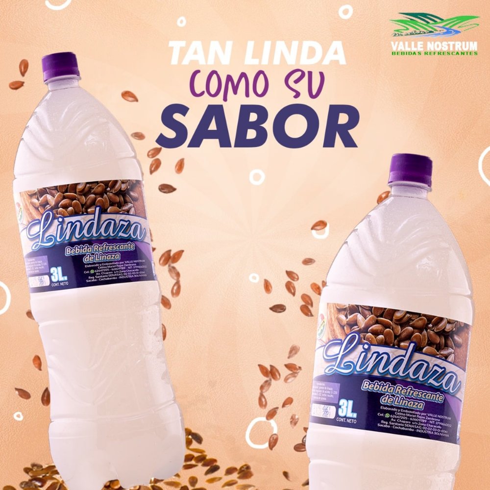 nostrum valle jugo de linaza 3l