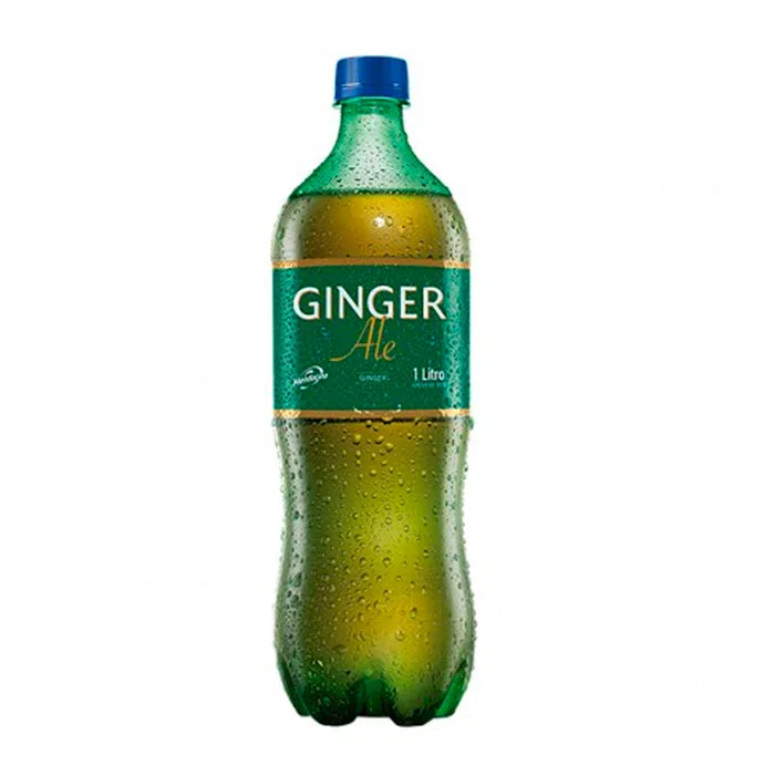 ginger 2l