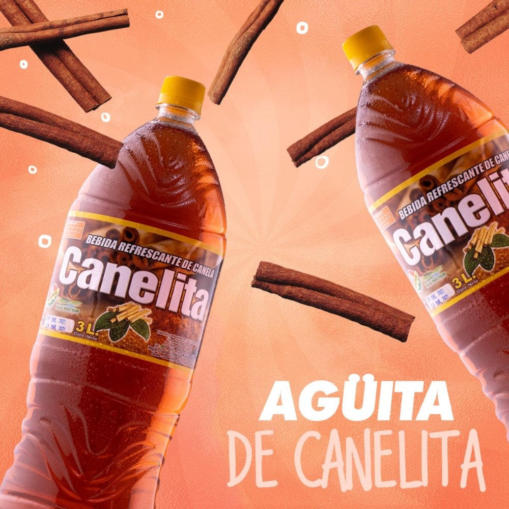 nostrum valle jugo de canelita 3l