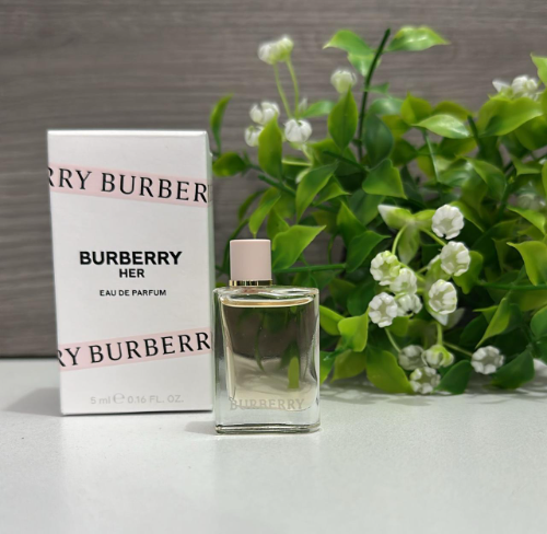Burberry mini