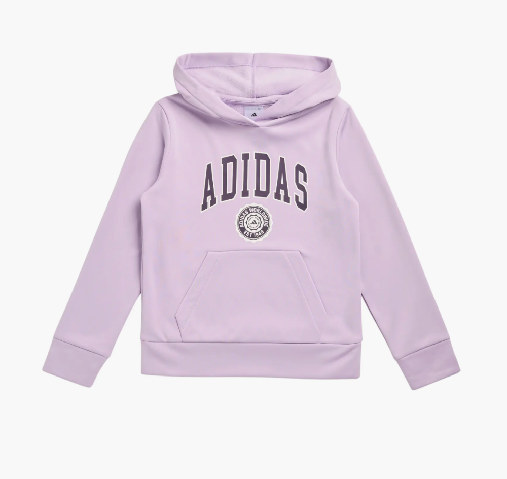 Adidas logo hoobie big kids