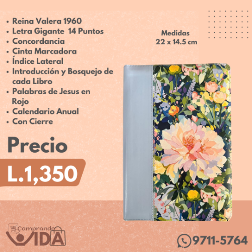Biblia Holman Letra Gigante Celeste Floreado
