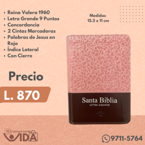 RVR.26CLGPJRZTI ROSA/MARRON
